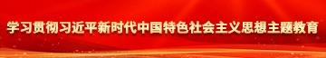 免费的插逼网站学习贯彻习近平新时代中国特色社会主义思想主题教育